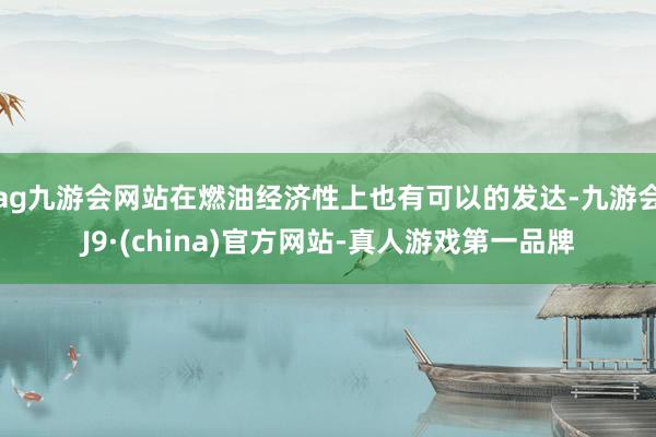 ag九游会网站在燃油经济性上也有可以的发达-九游会J9·(china)官方网站-真人游戏第一品牌