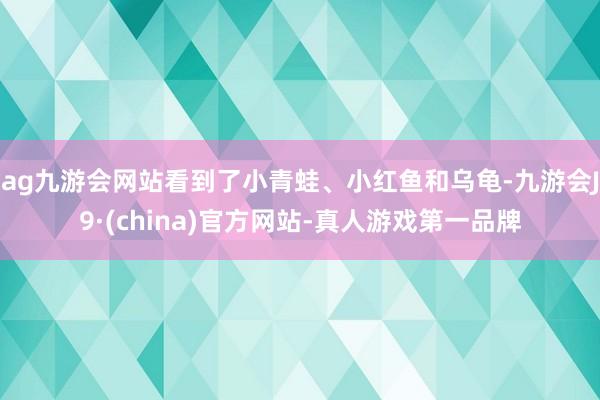 ag九游会网站看到了小青蛙、小红鱼和乌龟-九游会J9·(china)官方网站-真人游戏第一品牌