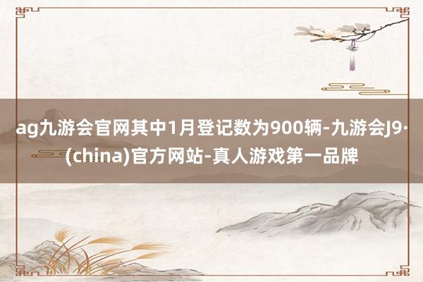 ag九游会官网其中1月登记数为900辆-九游会J9·(china)官方网站-真人游戏第一品牌
