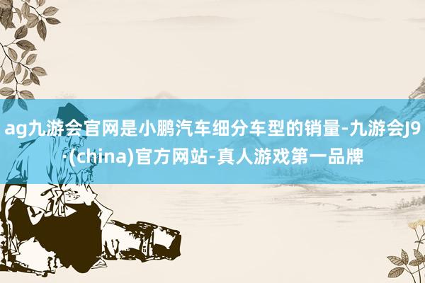 ag九游会官网是小鹏汽车细分车型的销量-九游会J9·(china)官方网站-真人游戏第一品牌