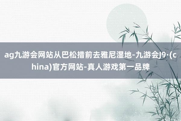 ag九游会网站从巴松措前去雅尼湿地-九游会J9·(china)官方网站-真人游戏第一品牌