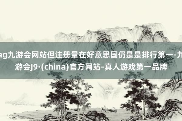 ag九游会网站但注册量在好意思国仍是是排行第一-九游会J9·(china)官方网站-真人游戏第一品牌