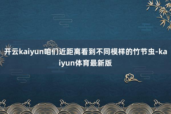 开云kaiyun咱们近距离看到不同模样的竹节虫-kaiyun体育最新版