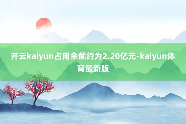 开云kaiyun占用余额约为2.20亿元-kaiyun体育最新版