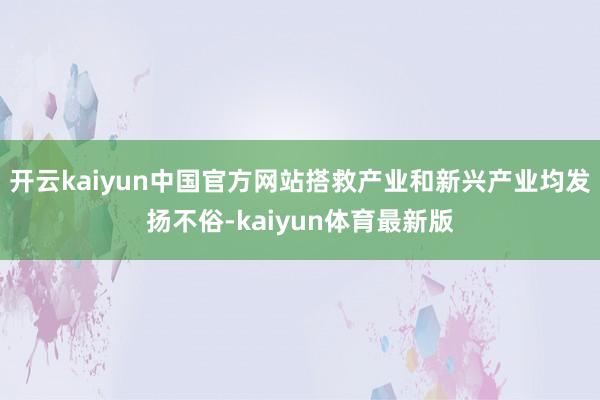 开云kaiyun中国官方网站搭救产业和新兴产业均发扬不俗-kaiyun体育最新版