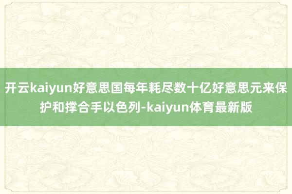 开云kaiyun好意思国每年耗尽数十亿好意思元来保护和撑合手以色列-kaiyun体育最新版